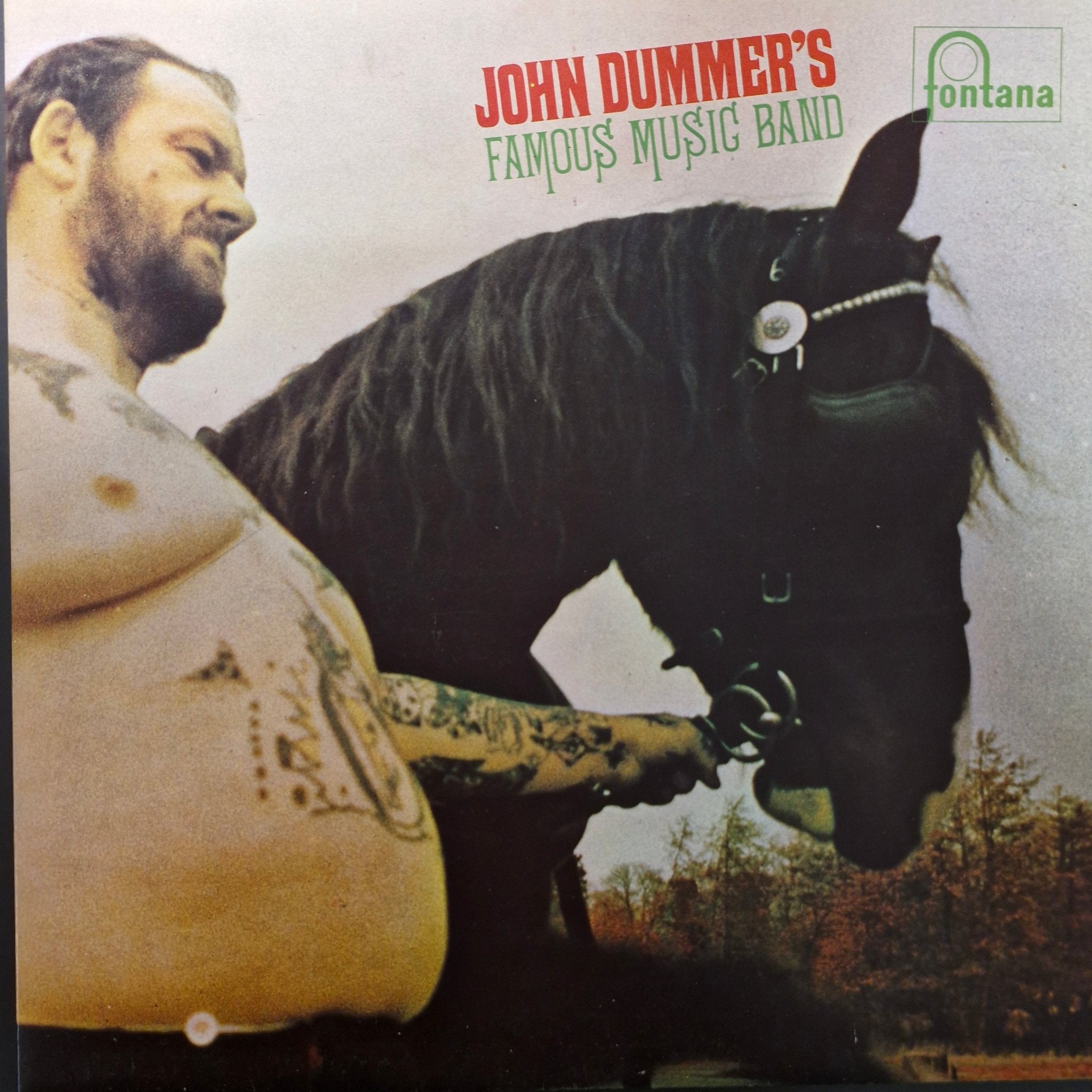 john dummer's famous music band (lp)