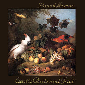 exotic birds and fruit