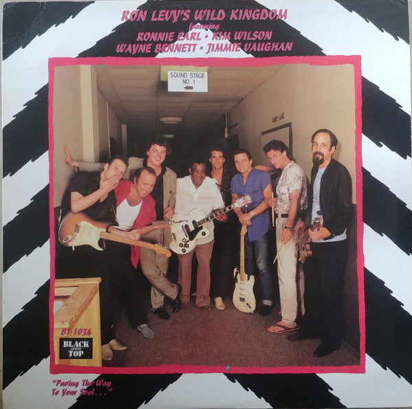 featuring ronnie earl, kim wilson, wayne bennett, jimmie vaughan (lp)