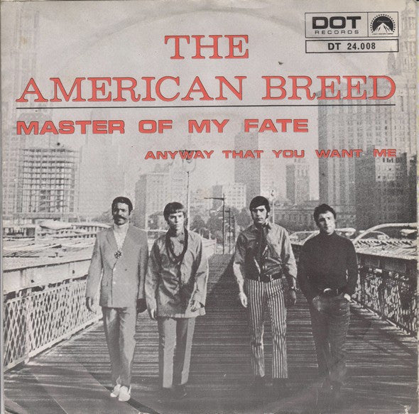 anyway that you want me (7inch single)