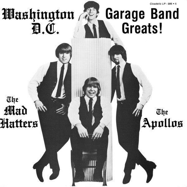 washington, d.c. garage band greats! (lp)