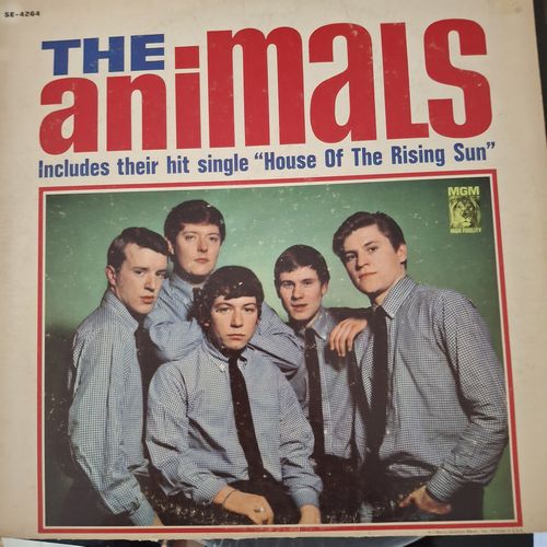 the animals