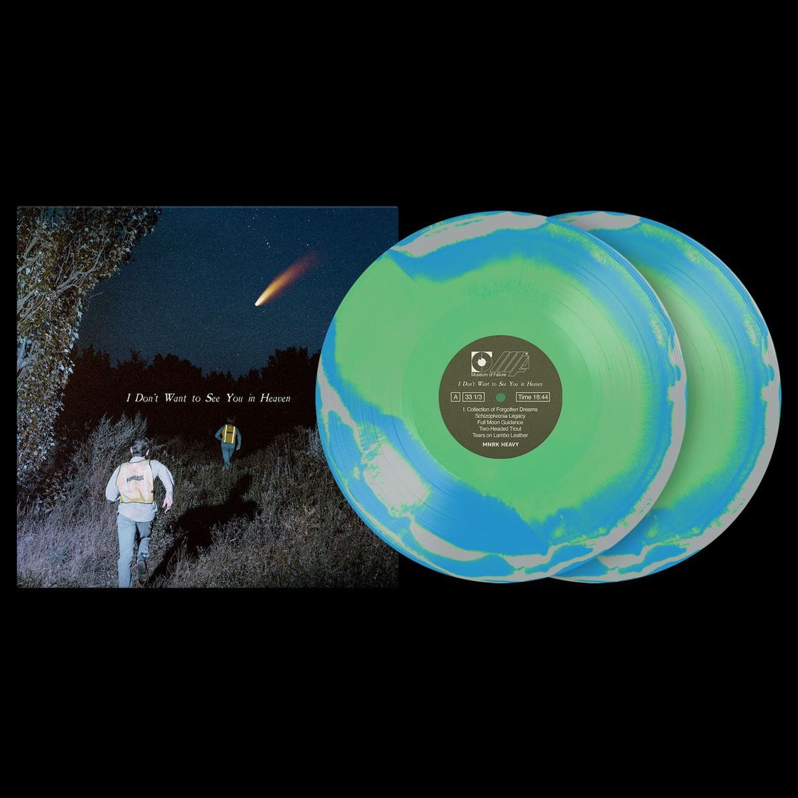 i don’t want to see you in heaven seattle vinyl