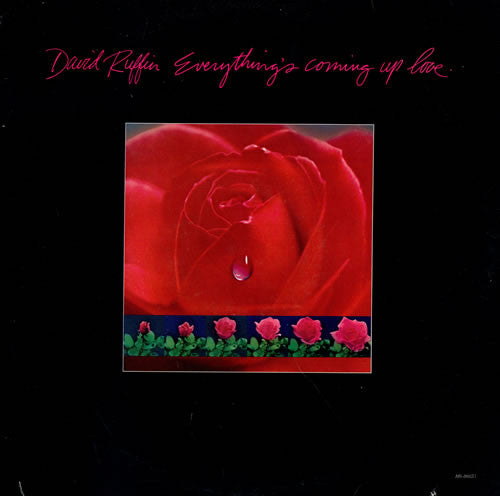 everything's coming up love