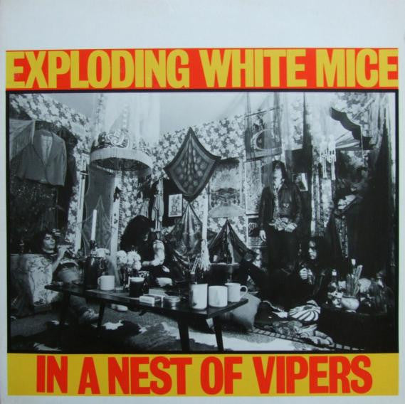 in a nest of vipers