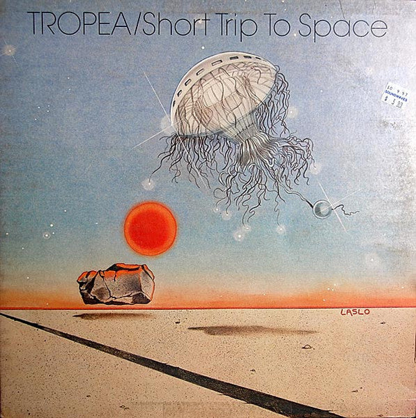 short trip to space