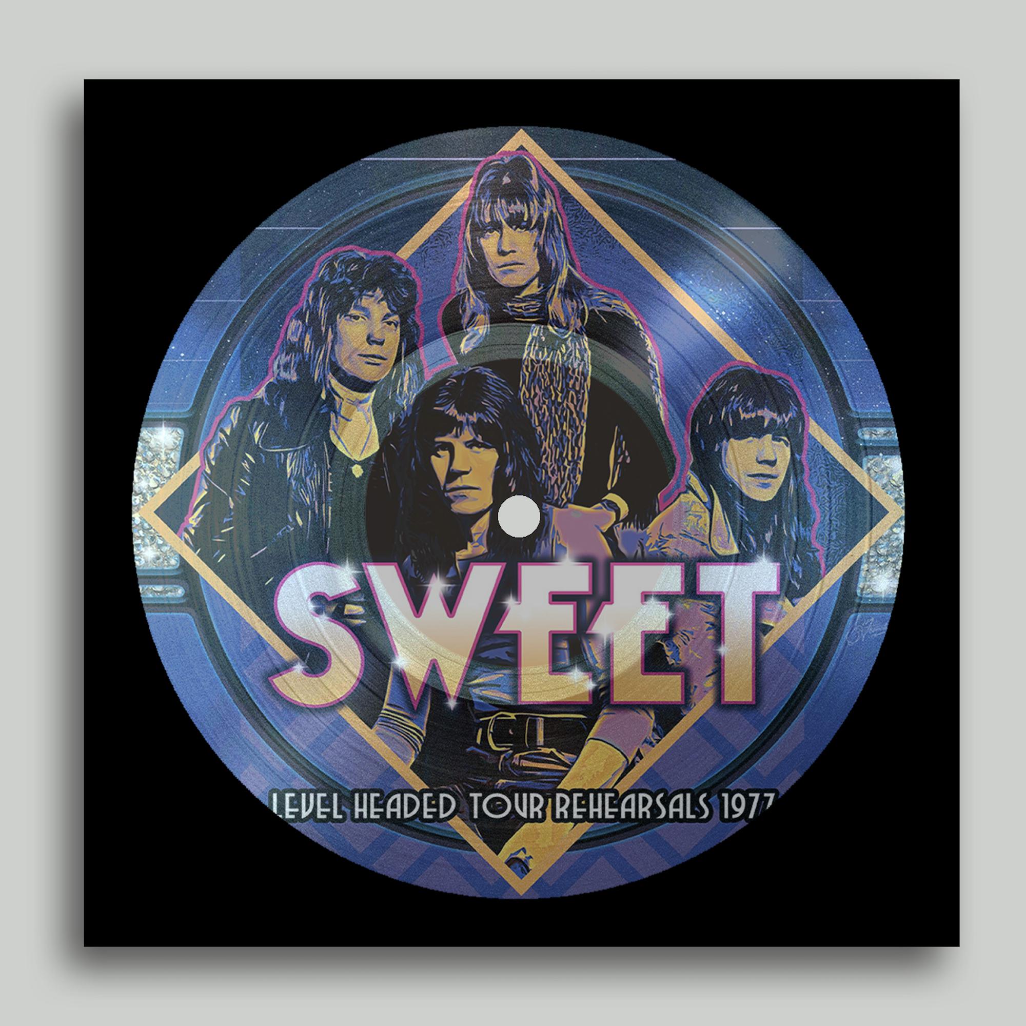 level headed tour rehearsals 1977 (picture disc)