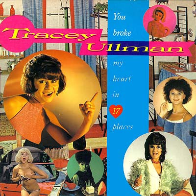 you broke my heart in 17 places (lp)