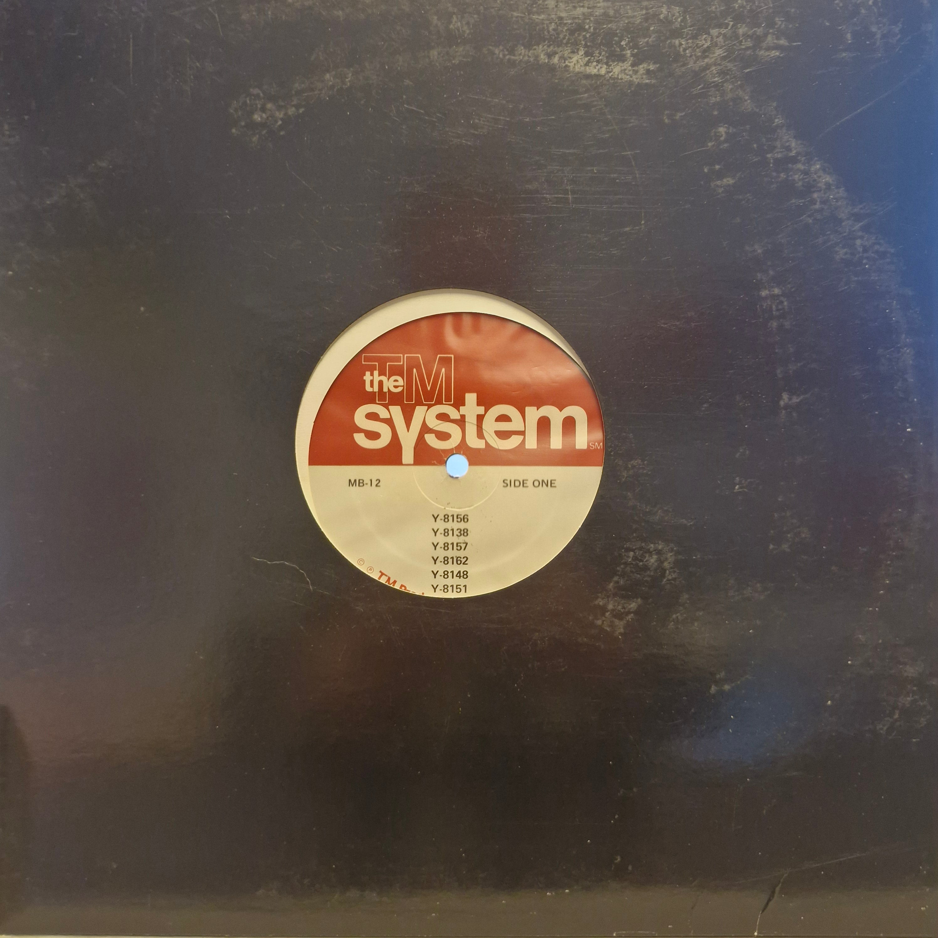 the tm system (lp)