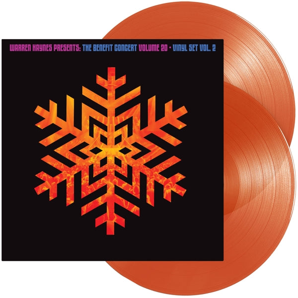 benefit concert vinyl vol.2 (2 lps)