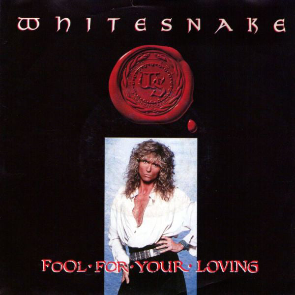 fool for your loving