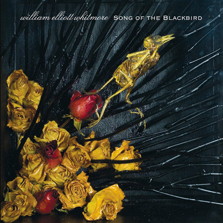 song of the blackbird